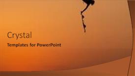  Presentation with extreme - Presentation theme enhanced with extreme-sport-kitesurfing-against-offshore background and a gold colored foreground