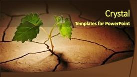  Presentation with sprout - Theme consisting of extreme weather - sprout in droughty area background and a wine colored foreground