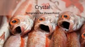  Presentation with wholesale - Amazing slide set having eye catching - fresh fish for sale backdrop and a coral colored foreground