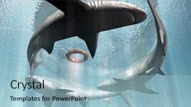  Presentation with eye - Audience pleasing presentation consisting of eye catching - sos backdrop and a light blue colored foreground