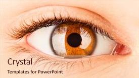  Presentation with human person - Theme featuring shine fractal art grafics background and a dark gray colored foreground.