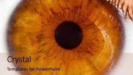  Presentation with pupil - Slide deck consisting of eye of the person background and a crimson colored foreground