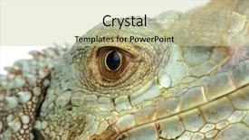  Presentation with dragon - Cool new PPT theme with eye on a white background backdrop and a soft green colored foreground