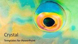  Presentation with anatomy of the eye - Presentation theme consisting of eye of a parrotfish close background and a yellow colored foreground