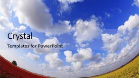  Presentation with easter bunny yellow spring flower - Presentation theme with eye sky - cloudy spring morning on bicoloured background and a  colored foreground