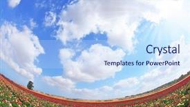  Presentation with hot spring - PPT theme consisting of eye sky - lot of lovely blooming buttercups background and a sky blue colored foreground