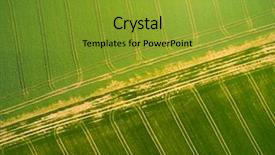  Presentation with rapeseed - Amazing presentation theme having eye tracking - aerial view to green wheat backdrop and a gold colored foreground