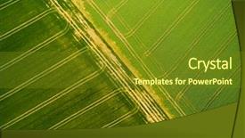  Presentation with rapeseed - Presentation theme enhanced with eye tracking - aerial view to green wheat background and a tawny brown colored foreground