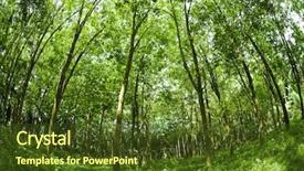  Presentation with rubber - Theme enhanced with eye view landscape of rubber background and a tawny brown colored foreground