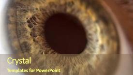  Presentation with anatomy eye - Audience pleasing PPT theme consisting of eyes anatomy - extreme close-up of human eye backdrop and a tawny brown colored foreground
