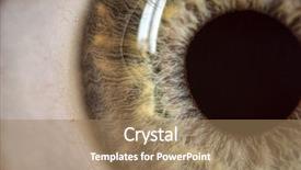  Presentation with anatomy eye - Audience pleasing PPT layouts consisting of eyes anatomy - extreme close-up of human eye backdrop and a coral colored foreground