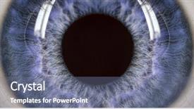  Presentation with anatomy eye - PPT theme consisting of eyes anatomy - extreme close-up of human eye background and a gray colored foreground