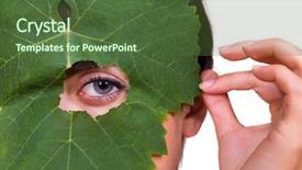  Presentation with green tree - Beautiful presentation theme featuring eyes anatomy - green tree leaf backdrop and a tawny brown colored foreground