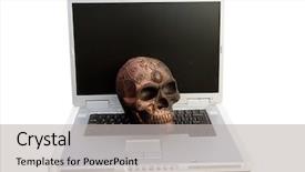  Presentation with evil - Amazing PPT theme having eyes anatomy - human skull halloween human skull backdrop and a light gray colored foreground