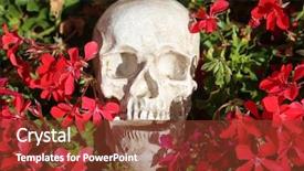  Presentation with spooky - Amazing presentation having eyes anatomy - skull with flowers halloween human backdrop and a tawny brown colored foreground