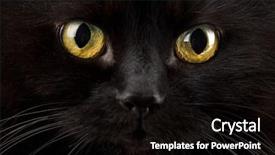  Presentation with black cat in front - Slide deck having eyes of black cat background and a black colored foreground