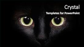  Presentation with cat - Amazing presentation having eyes of the cat backdrop and a black colored foreground