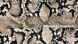  Presentation with pattern - Audience pleasing slide set consisting of fabric-pants-texture-in-snake backdrop and a coral colored foreground