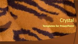  Presentation with tiger - Presentation theme consisting of fabric texture background and a tawny brown colored foreground