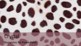  Presentation with fabric - Cool new PPT theme with fabric texture backdrop and a violet colored foreground