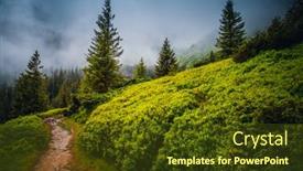  Presentation with foggy forest - Slide deck having fabulous-and-mysterious-path background and a tawny brown colored foreground