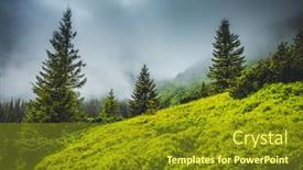  Presentation with foggy forest - Audience pleasing PPT theme consisting of fabulous-and-mysterious-path backdrop and a tawny brown colored foreground