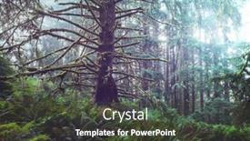  Presentation with america - Audience pleasing slide deck consisting of fabulous-rain-forest-in-northern backdrop and a dark gray colored foreground