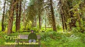  Presentation with america - Cool new presentation theme with fabulous-rain-forest-in-northern backdrop and a tawny brown colored foreground