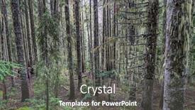  Presentation with america - Beautiful presentation featuring fabulous-rain-forest-in-northern backdrop and a gray colored foreground