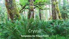  Presentation with olympic - Audience pleasing presentation theme consisting of fabulous-rain-forest-in-olympic backdrop and a forest green colored foreground