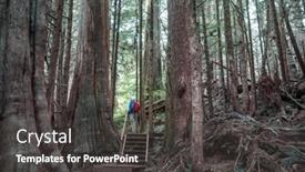  Presentation with rain - PPT theme featuring fabulous-rain-forest-trees-covered background and a dark gray colored foreground
