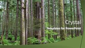  Presentation with rain - PPT theme featuring fabulous-rain-forest-trees-covered background and a tawny brown colored foreground