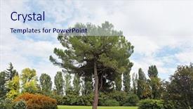  Presentation with beautiful green - Audience pleasing PPT theme consisting of fabulously-beautiful-park-garden-sigurta backdrop and a sky blue colored foreground