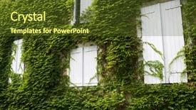  Presentation with ivy - Theme enhanced with facade building covered with ivy oloron saint marie france background and a tawny brown colored foreground