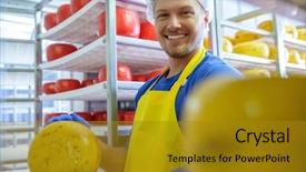  Presentation with factory farming - Slide deck with factory farming - handsome cheesemaker is checking cheeses background and a gold colored foreground