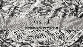  Presentation with skin - Presentation theme having facture - folded texture of snake skin background and a light gray colored foreground