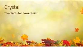  Presentation with autumn leaves falling - PPT theme having fading color - autumn maple leaves beautiful autumn background and a  colored foreground