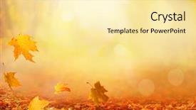  Presentation with autumn leaves falling - PPT theme with fading color - beautiful autumn landscape with trees background and a  colored foreground
