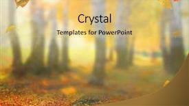  Presentation with autumn leaves falling - PPT layouts featuring fading color - beautiful autumn landscape with trees background and a  colored foreground