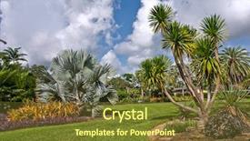  Presentation with tropical fruit and vegetable - Slides featuring fairchild tropical botanic garden fl background and a tawny brown colored foreground