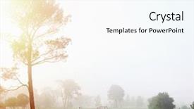  Presentation with morning sunrise - Presentation design having fairway - beautiful early morning golf game background and a sky blue colored foreground