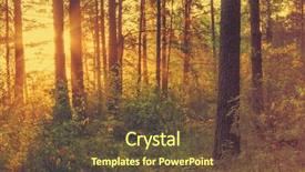  Presentation with fairy silhouettes - PPT layouts having fairy silhouettes - beautiful sunset in the woods background and a tawny brown colored foreground