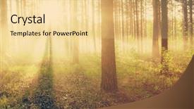  Presentation with woods - Amazing slides having fairy silhouettes - bright sunset in the woods backdrop and a blonde colored foreground