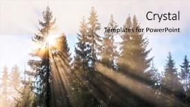  Presentation with tale - Beautiful theme featuring fairy tale fir tree forest backdrop and a lemonade colored foreground