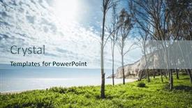  Presentation with forest fairy - Slide deck featuring fairy-tale-forest background and a sky blue colored foreground