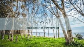  Presentation with forest fairy - Slides consisting of fairy-tale-forest background and a light blue colored foreground