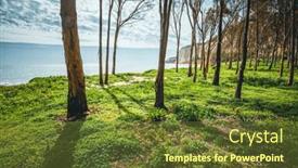  Presentation with forest fairy - Presentation theme enhanced with fairy-tale-forest background and a tawny brown colored foreground