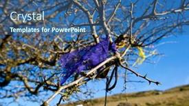  Presentation with fairy - Audience pleasing presentation design consisting of fairy-tree-at-loughcrew-cairn backdrop and a ocean colored foreground