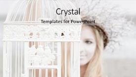 Presentation with birdcage - Amazing presentation design having fairy woman holding birdcage outdoor backdrop and a light gray colored foreground