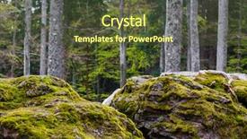  Presentation with moss - Amazing theme having fairytale-like magical forest backdrop and a tawny brown colored foreground